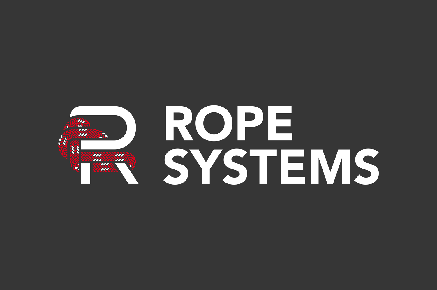 Logogestaltung für Rope Systems